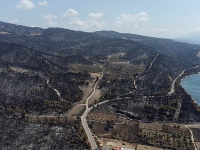 Colinas quemadas por uno de los incendios forestales de la isla griega de Eubea, el día 12.