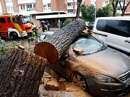Varios bomberos junto a los restos de un árbol caído por el fuerte viento, este jueves en Madrid.
