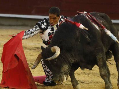 El torero colombiano Paco Perlaza lidia al toro 'Manchado', el pasado 31 de diciembre durante la Feria de Cali (Colombia).