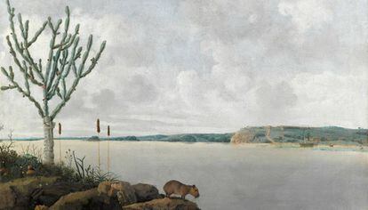Pintura en óleo sobre lienzo de Frans Post del río São Francisco (Brasil) y un capibara.