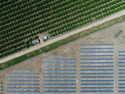 Planta fotovoltaica de Peñaflor, en la provincia de Sevilla, construida por GRS, constructora centrada en proyectos de energía renovable.