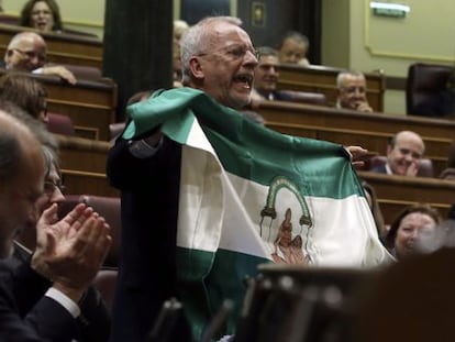 El diputado socialista Manuel Pezzi muestra una bandera andaluza durante la intervención de Rajoy.