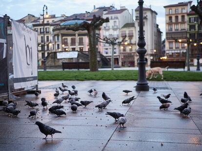 Calles de Pamplona totalmente vacías durante la tercera semana de cuarentena y confinamiento total decretado en España como consecuencia del coronavirus, en Pamplona