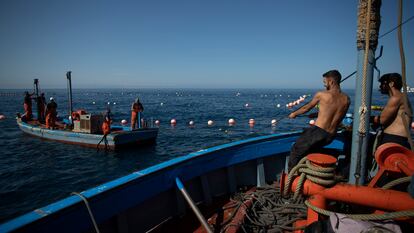 Uno de los marineros agarra un cabo desde el barco de la sacada de la almadraba de Zahara, instantes previos a la primera levantá.