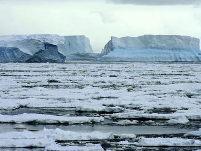 Fragmentos de la plataforma Wilkins de la Antártida, que se resquebró en 2009 por el deshielo.