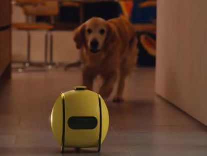 Ballie, el curioso robot inteligente con proyector de Samsung que te ayuda con las tareas