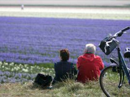 Dos turistas hacen una parada para admirar un campo de tulipanes en Lisse (Holanda). EFE/Archivo