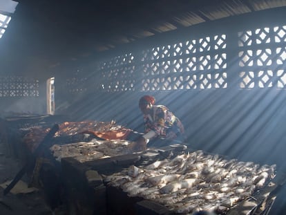 Fotograma de la película 'Stolen Fish' de la directora polaca Gosia Juszczak.