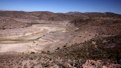 La reserva Cogotí en Coquimbo, Chile, el 14 de marzo 2024.