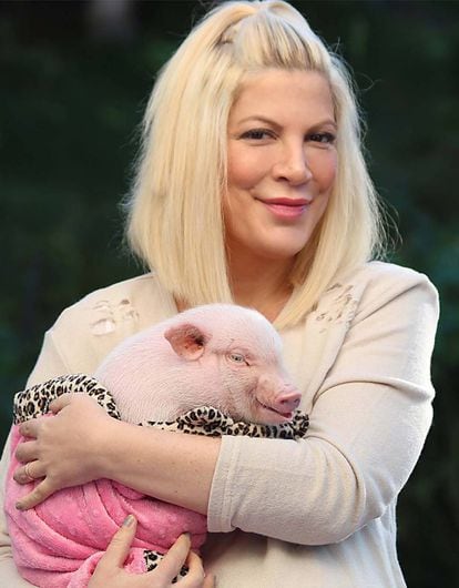 La obsesión de las celebrities con el mundo porcino está bastante extendida: Tori Spelling llegó a montar una producción con People para presentarlo en sociedad junto al resto de su familia.