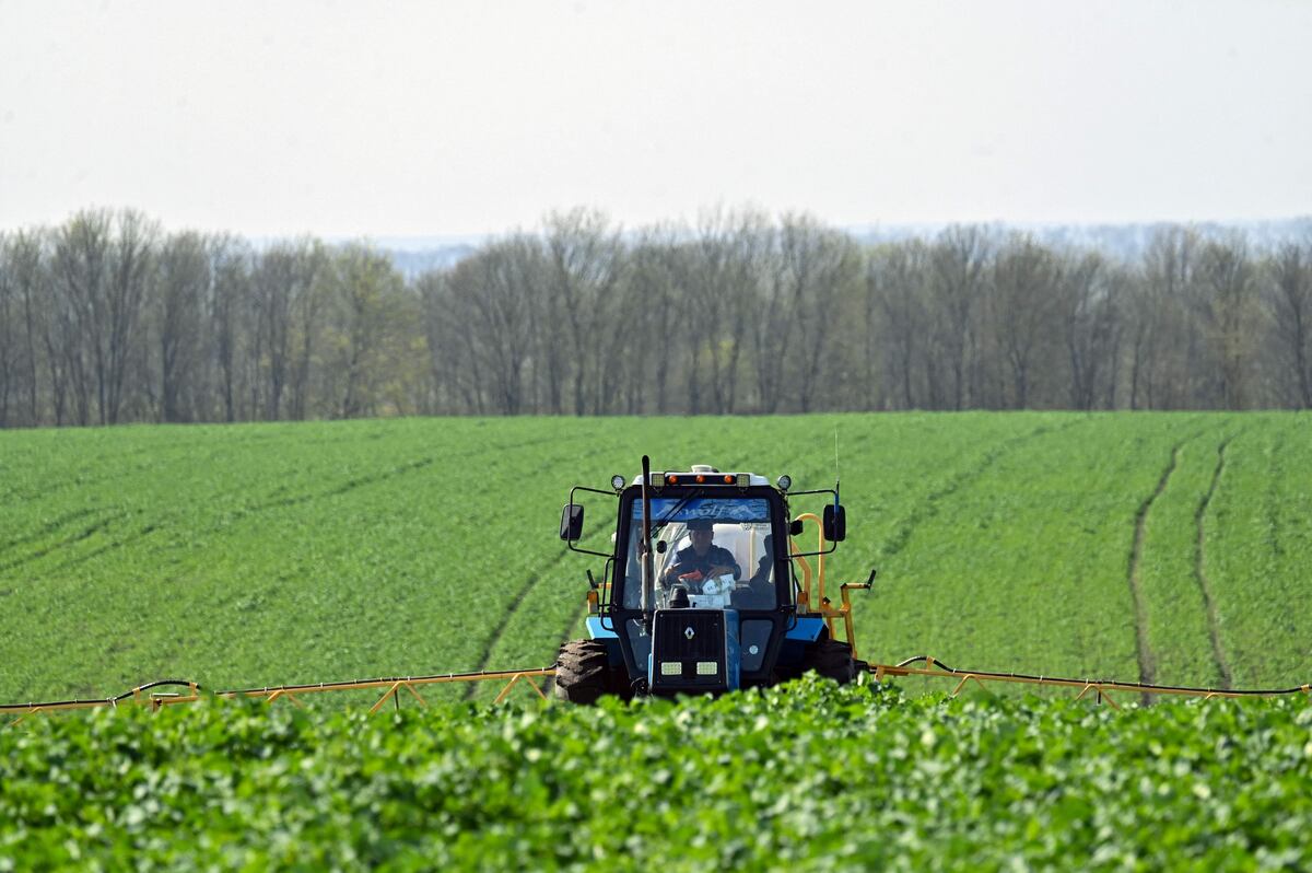 Bruselas da por cerrada la crisis del grano ucranio con concesiones a los países del Este |  Internacional