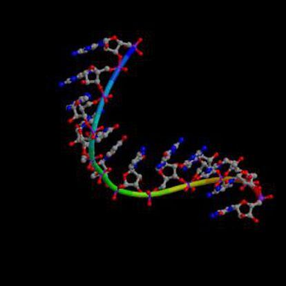 Representación de un ARN.