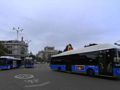 Autobuses públicos de la ciudad de Madrid en la rotonda de Cibeles.