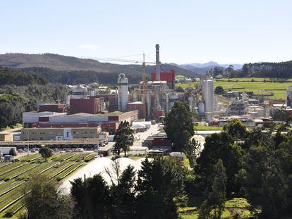 Biofábrica de celulosa de Ence en Navia (Asturias).