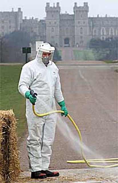 Un trabajador desinfecta un camino ante el castillo británico de Windsor.