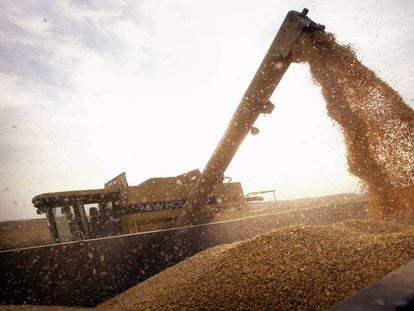 Carga de un camión con maiz transgénico del tipo BT-corn, en Rockton (EE UU).