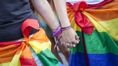 Dos asistentes a la manifestaci&oacute;n del D&iacute;a del Orgullo Gay 2016.  
 