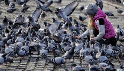 Una ni&ntilde;a alimenta a unas palomas en plaza Catalu&ntilde;a
