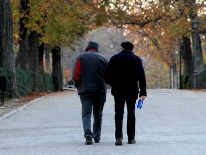 Dos hombres pasean por el parque del Retiro de Madrid.