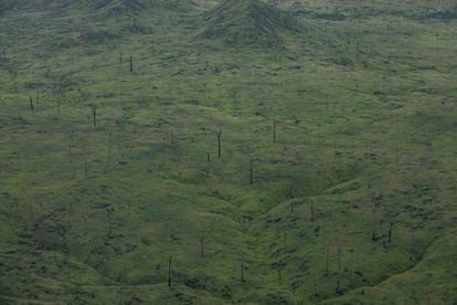 Un área deforestada recientemente se transforma en un enorme rancho ganadero en el Estado de Maranhão, en la Amazonía brasileña.