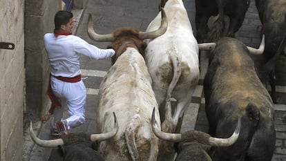 Un mozo corre ante los toros de la ganadería de Miura.