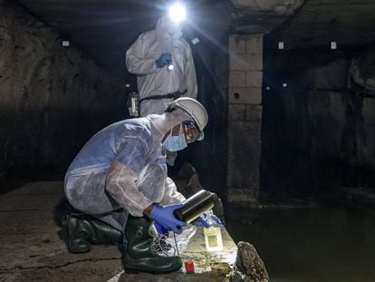 Los técnicos recogen muestras de aguas fecales en el colector norte de la ciudad de Valencia.