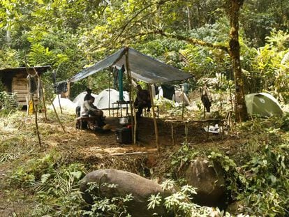 Campamento de la última expedición española en Guinea Ecuatorial en busca de fósiles del ancestro común entre chimpancés y humanos.