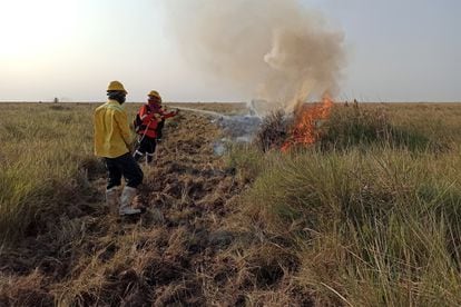 Trabajadores de la organización Armonía realiza una quema controlada en una de sus fincas de la Reserva Barba Azul.