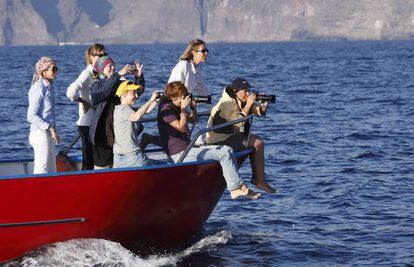 Observación de cetáceos en la isla de La Gomera (Canarias).