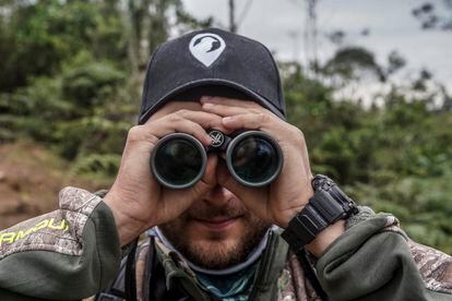 Carlos Arturo Salgado mira por sus binoculares en una de las localidades donde se está buscando al ave.