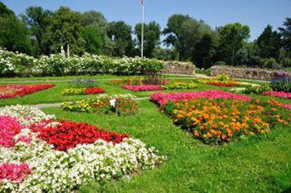 Más de 35.000 rosas florecen en verano a lo largo de los paseos del Donaupark, en Viena.