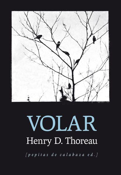 "En una tarea lúdica e intelectual que provoca envidia y agradecimiento, Antonio Casado da Rocha y José Ignacio Foronda, especialistas en la obra del gran pensador estadounidense Henry David Thoreau (1817–1862), han unido esfuerzos para compilar en Volar las extraordinarias anotaciones sobre las aves realizadas por el autor de Walden, principalmente, en las más de 7.000 páginas que componen sus diarios, desde 1836 a 1862. Esta magnífica antología es una selección “que alberga desde la anotación poética al apunte notarial, de las listas de las aves vistas, oídas y soñadas, a la descripción de plumas, nidos y huevos que le llevan los niños de Concord”. Por PABLO NACACH