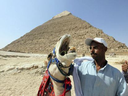 Un hombre da de comer a su camello junto a la milenaria pir&aacute;mide de Kefr&eacute;n, en Giza, El Cairo.