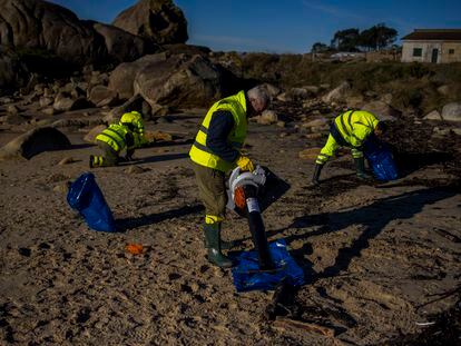 Operarios de Tragsa, contratados por la Xunta de Galicia, limpiaban el arenal de A Lanzada (Sanxenxo), este jueves.