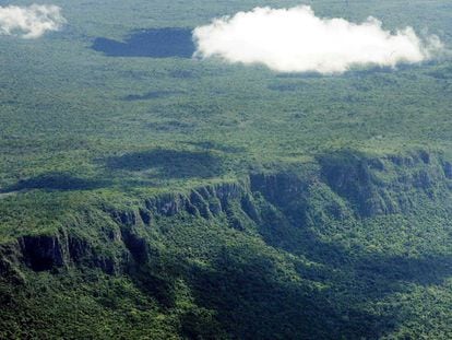 Así era en 2005 la selva virgen amazónica en el estado brasileño de Mato Gross, en Brasil, uno de los lugares con mayores tasas de deforestación del mundo. 