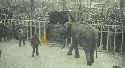 Gran expectaci&oacute;n por la llegaba de la elefanta J&uacute;lia al zoo de Barcelona en mayo de 1915. 