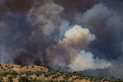 Forest fire at the Zurraquin estate in Toledo, near the Puy du Fou theme park.