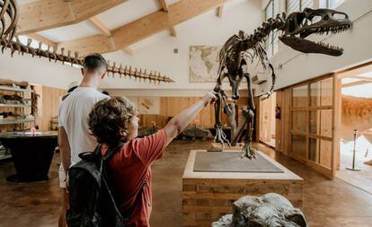 Para conocer mejor la historia de los dinosaurios en La Rioja existen centros de interpretación paleontológica en Igea y Enciso.