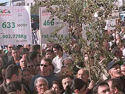 Aspecto de la concentración, ayer, de los olivareros ante el Ministerio de Agricultura en Madrid.