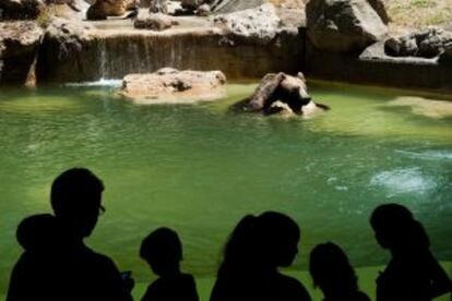 Bioparco, en Roma.