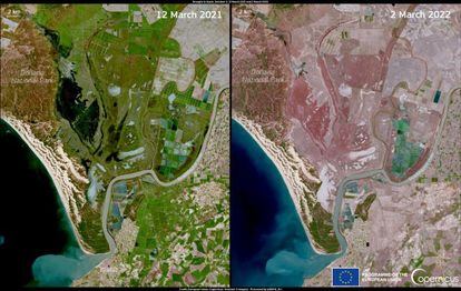 Imágenes de satélites del estado de Doñana en marzo de 2021 y marzo de 2022.