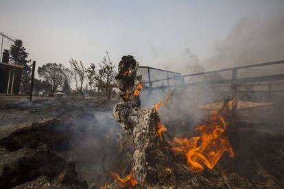 Un tronco continúa ardiendo en un barrio destruido por el fuego cerca del Instituto Cardinal Newman el 10 de octubre. Al menos 1.5000 casas han ardido y 11 personas han muerto durante los incendios que afectan al norte de California.