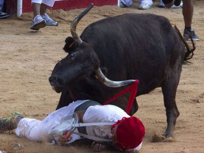 Una vaquilla intenta empitonar a un hombre en la plaza de toros de Pamplona después del encierro del viernes.