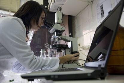 Becaria de un laboratorio de la Facultad de Físicas de la Universidad de Santiago.