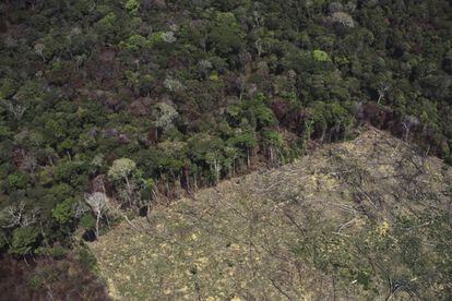 Un tramo de la Amazonia, recientemente deforestado para uso agrícola.
