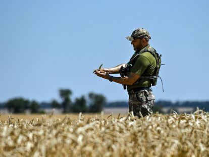 Un militar ucranio en un campo de trigo en Zaporiyia, el 17 de julio.