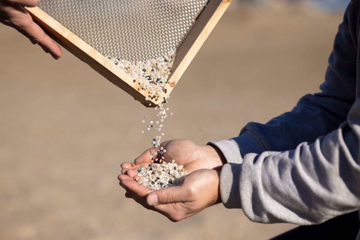 La Fiscalía abre una investigación sobre el origen de los perdigones que contaminan desde hace años las playas de Tarragona |  Clima y medio ambiente