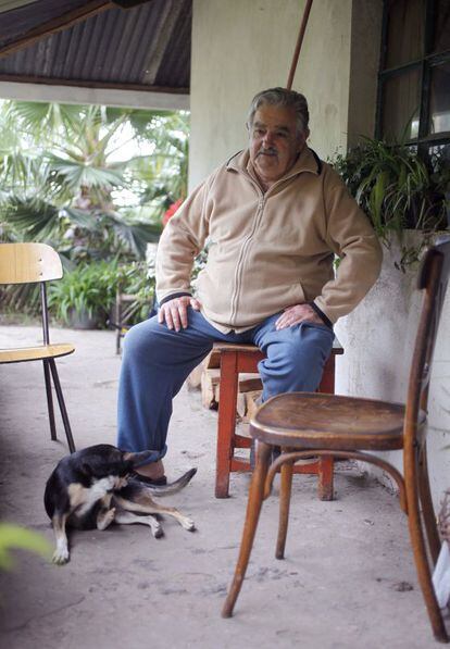 El presidente uruguayo, José Mujica, en 2009, cuando era candidato electoral, en la casa a las afueras de Montevideo donde sigue viviendo. /