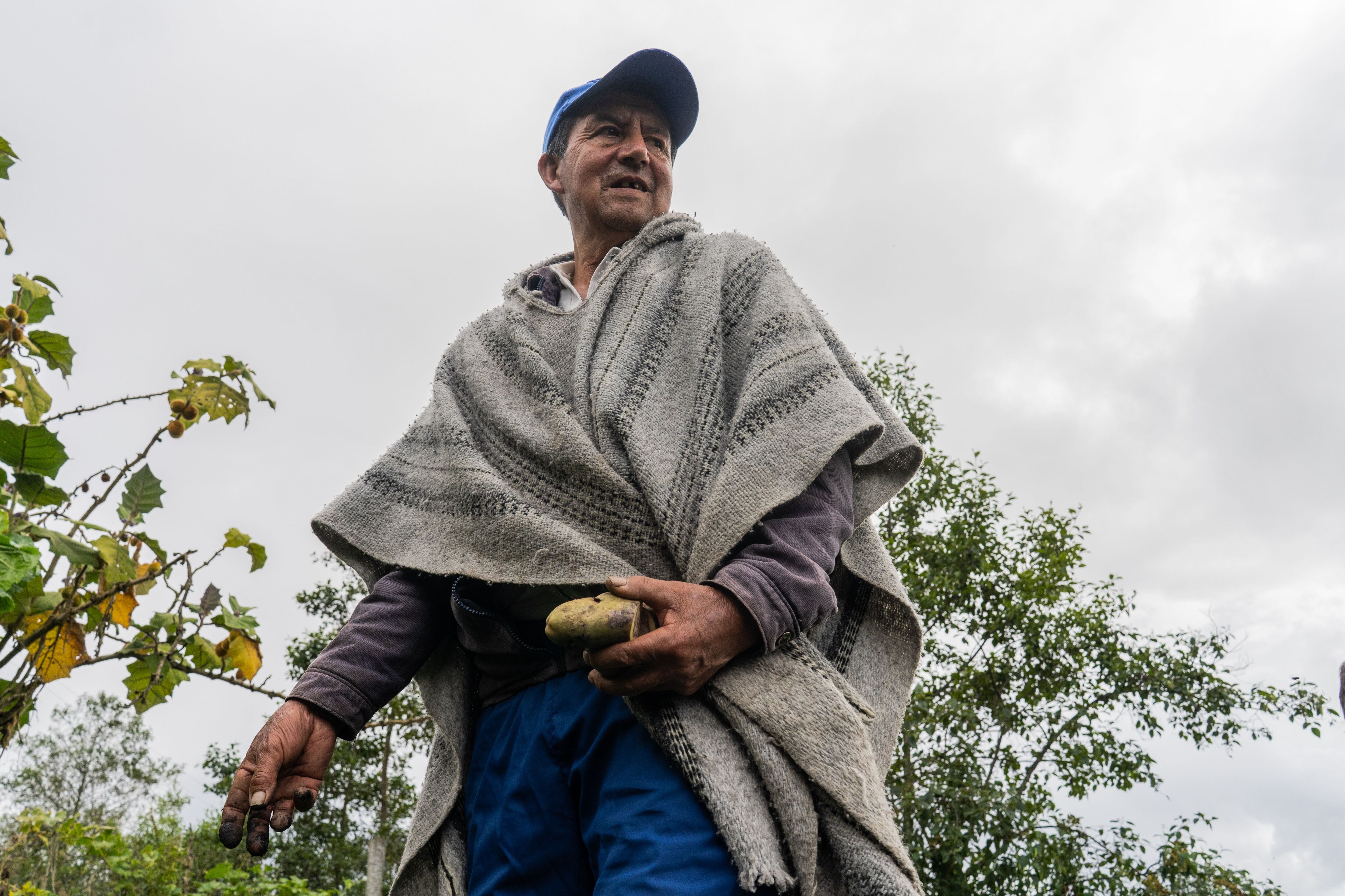 Adriano Pinilla recorre su huerta con algunos ejemplares de papas nativas.