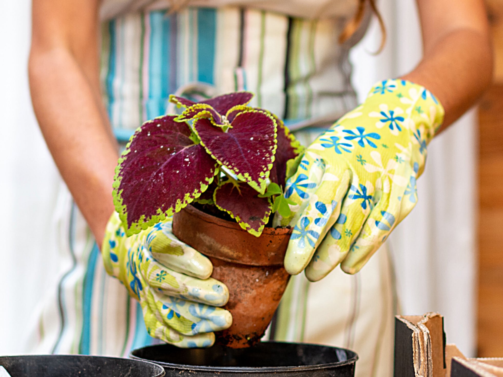 Mantener los guantes de jardinería limpios - Plantas para jardin